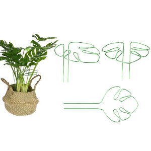 M METERXITY 3pbN XeAT|[g 11x5.9"ėp\ȊȍAT|[gXe[NX AA///O 鐫Ap ƓȃfUC[]