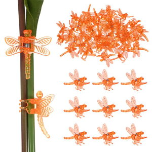 M METERXITY 100I[Lb hNbv vX`bNK[fvgNbv g{I[Lb hNbv A s//sx邽 K[fvgT|[gNbv[IW]