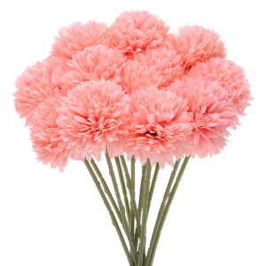 M METERXITY 12 lHLN{[  11" tFCNAWTCVNu[P A^b` tFCNt[ ƒ//NX}X/p[eB[/K[fItBXp[s[`sN]