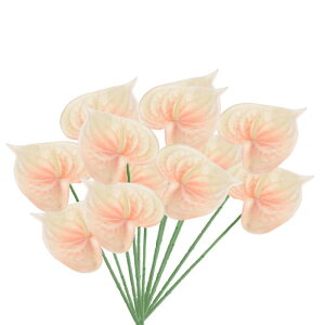 PATIKIL 13" lHAXE[̉ 10pbN ivԃt[AWgu[P z[fR[V EFfBO Ղ p[eB[p IW