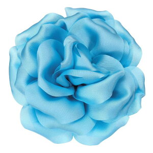 PATIKIL VNTet[u[`s4C`A傫ȃsIj[Ԃ̃y sApEFfBOp[eB[a_Xӎ`hXߗޖXqobOAu[