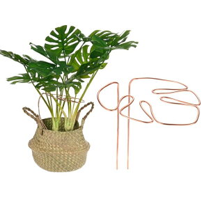 M METERXITY 1pbN XeAT|[g 11x5.9"ėp\ȊȍAT|[gXe[NX AA///O 鐫Ap ƓȃfUCyz