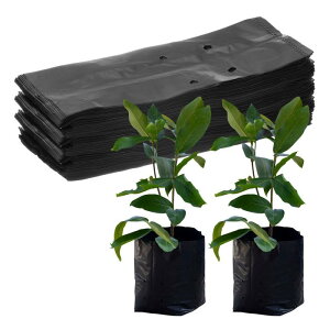 M METERXITY 200pbN̂Ȃ 6.7" x 9.8 "̌̃vX`bNȂ WKC//g}g/A̎n܂/ƒp|pi[u  bN]