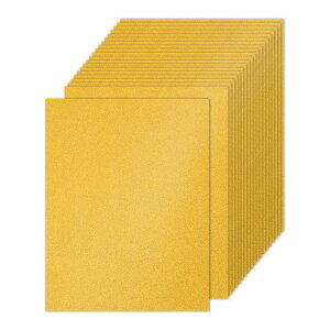 PATIKIL 20V[g̃S[ hOb^[J[hXgbNy[p[ 8.5 x 11C` 250gsmXNGAv~AXp[N[y[p[NtgJ[hXgbNy[p[ XNbvubNJ[hDIYA