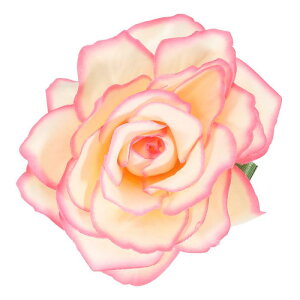 PATIKIL [Y{w~AwANbvApEFfBOp[eB[_XhXߗރANZT[o^Cf[  MtgA[YGbW