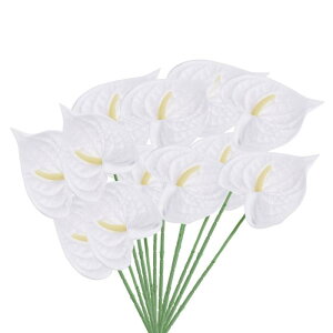 PATIKIL 13" lHAXE[̉ 10pbN ivԃt[AWgu[P z[fR[V EFfBO Ղ p[eB[p zCg