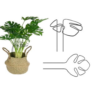 M METERXITY 2pbN XeAT|[g 11x5.9"ėp\ȊȍAT|[gXe[NX AA //O 鐫Ap ƓȃfUC[]