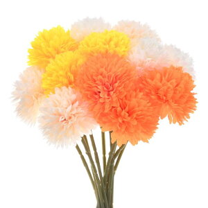 M METERXITY 12pbN lHLN{[ 11" tFCNAWTCVNu[P EFfBO/NX}Xp A^b`tFCNt[[N[zCg Vp CG[ IW]