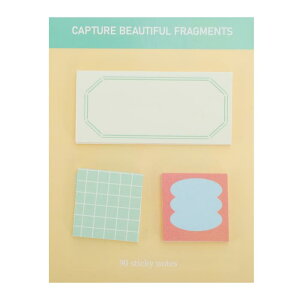 CAPASTEC t [   p V[ ֗V[ S o  ׋ d 30×3pbh x[W O[ u[