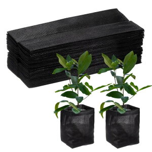 M METERXITY 200pbN̂Ȃ 7.1" x 6.3 "̕sDzAȂ  q̔/yڐA/ƒpK[fpi[u  bN]