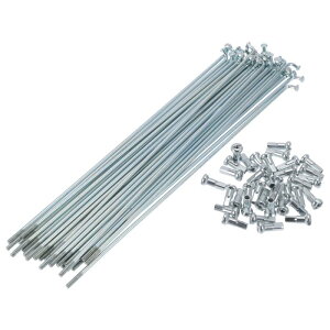 TUCKBOLD ]ԃX|[N oCNzC[X|[N Vo[g[jbv 1Zbg 13G 179mm  45| bL