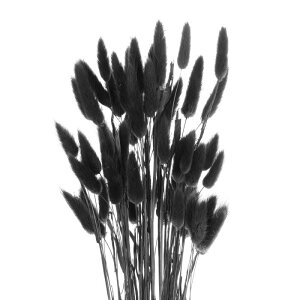 uxcell 100̃tFCNppXOX 17"/43cm̃rO [p[eB[EH[ԕrEFfBOptFCNppXOX 