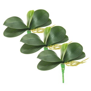 PATIKIL ̗t 22 cm 3 ȐlHtFCNӒ̗t {̃ebNX^b` ΐA 5̗tƌst ƒp Ԕp 