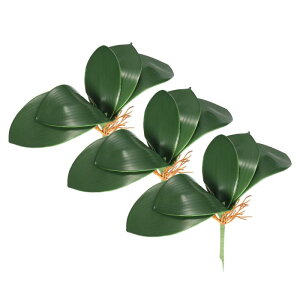 PATIKIL ̗t 34 cm 3 ȐlHtFCNӒ̗t {̃ebNX^b` ΐA 5̗tƌst ƒp Ԕp 