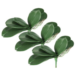 PATIKIL ̗t 34 cm 3 ȐlHtFCNӒ̗t {̃ebNX^b` ΐAD 5̗t st ƒp Ԕp 