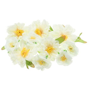 PATIKIL lHỏԑ 1Zbg ȃVN tFCNỎԂ̓ p EFfBO Ntg p[eB[ z[fR[V zCg