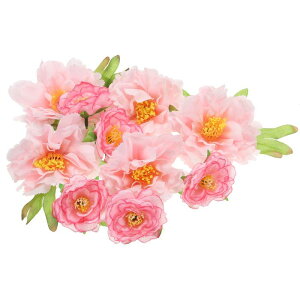 PATIKIL lHỏԑ 1Zbg ȃVN tFCNỎԂ̓ p EFfBO Ntg p[eB[ z[fR[V sN