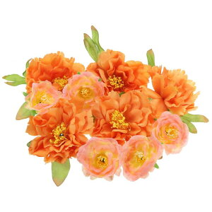 PATIKIL lHỏԑ 1Zbg ȃVN tFCNỎԂ̓ p EFfBO Ntg p[eB[ z[fR[V IW