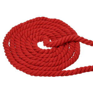 PATIKIL 3/4"×100tB[gi`cC ȃ[v3Xgh͂ȑǃ[v肷Ntgz[fR[V bh