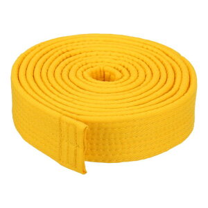 PATIKIL eRh[J[ LOxg1.6"x9.8Ft 3 m |GXeiZ_xg R[`wKp CG[