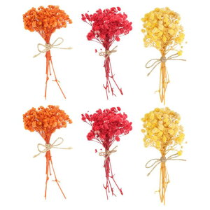 PATIKIL ~jԃu[P 6 xr[YuXR 쐶 ԑ XefR{zԐAԃNtgDIYtHgvbvMtgEFfBOfR[V IW/bh/CG[