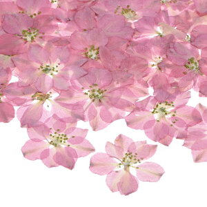 M METERXITY 24 p { Rȑ  Ntg/ DIY/Ό/XN bvubLO/Lh/G|LVpi/tHgt[ysNz