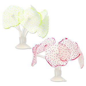 CAPASTEC lHTSI[igAzՕt̏_炩VR̐pTSAsNCG[2Zbg