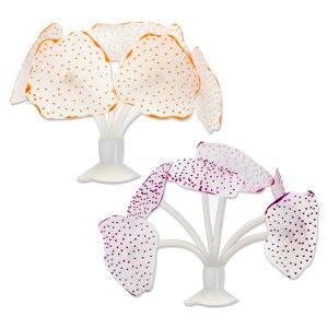 CAPASTEC lHTSI[igAzՕt̏_炩VR̐pTSApIW2Zbg