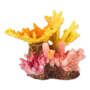 CAPASTEC ق̃TSʃfR[VAlHTSʃfR[VATSI[igAx^̐ANZT[A3.74"x2.95"x3.15"AIWsN