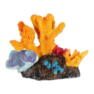 CAPASTEC ق̃TSʃfR[VAlHTSʃfR[VATSI[igAx^̋̐fR[VANZT[ɓKĂ܂B4.72"x2.76"x3.74"