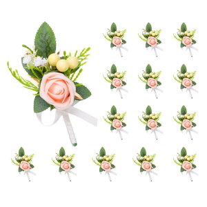 uxcell 15̃sNu[gjA Ԗ̂߂̃{^z[|PbgRT[WlHԂƃu[gjAs Ԗ̌LOȃp[eB[