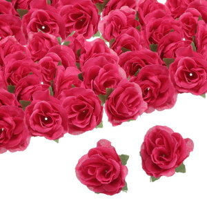 uxcell 100̐lHỏԂ̃wbh 1.2"VNtFCNõwbh~jolHԂ̑DIYEFfBOu[PZ^[s[Xp[eB[z[fR[V N]