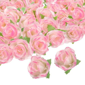 uxcell 100̐lHỏԂ̃wbh 1.2"VNtFCNõwbh~jolHԂ̑DIYEFfBOu[PZ^[s[Xp[eB[z[fR[VpsN