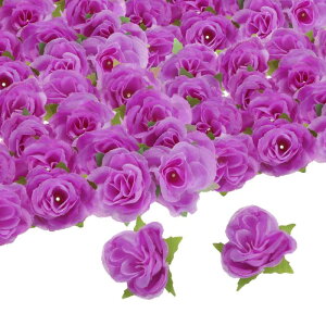 uxcell 100̐lHỏԂ̃wbh 1.2"VNtFCNõwbh~j[YlHԑZ^[s[Xp[eB[z[fR[V̂߂̃oNDIYEFfBO p[v