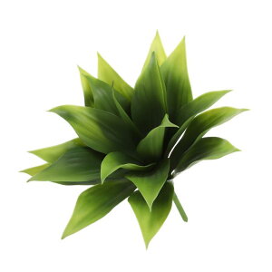 uxcell lHA tFCNZ`[vg 傫ȐlHA AȂ {̂悤ȎG DIY z[ EFfBO K[f ItB X O ԏp 35 cm  1
