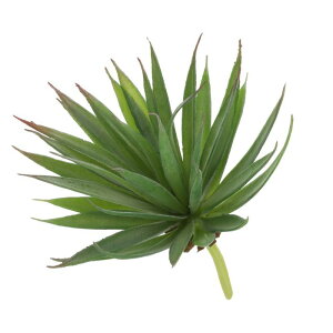 uxcell lHA tFCN\[hvg 傫ȐlHA AȂ {̂悤ȎG DIY z[ EFfBO K[f ItB X O ԏp 19 cm  1