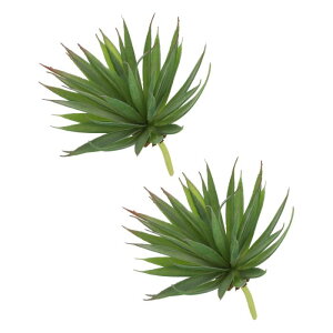 uxcell lHA tFCN\[hvg 傫ȐlHA AȂ {̂悤ȎG DIY z[ EFfBO K[f ItB X O ԏp 19 cm  2