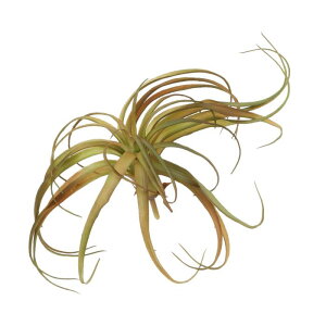 uxcell lHA tFCNpCibvOX 傫ȐlHA AȂ {̂悤ȎG DIY z[ EFfBO K[f ItB X O p 20 cm /bhF 1