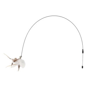 CAPASTEC ˂炵 L炵 H  ނ v~AtFU[ Lpߋ L̂D݂炵 Lp˂ zCguE
