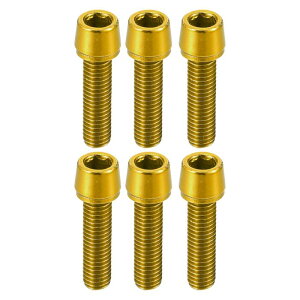 X AUTOHAUX MTB�o�C�N�p�̑ϋv���̂���M5x20mm�\�P�b�g�w�b�h�L���b�v�{���g�X�N�����[6�Z�b�g