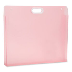 CAPASTEC A[g|[gtHItH_[APPA[g|[gtHIW/nhAhA[g[P[XAOXPb`ʐ^pA33x28cmAsN