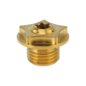 Partuto M14*1.5 �I�C���h�����v���O �`�^������ �I�C���p���h�����{���g �X�N�����[�X���b�h���y�A �S�[���h�g�[�� 1��
