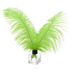 PATIKIL 30�̓V�R�_�`���E�̉H�� �o���N 12-14/ 30-35 cm �傫�ȃ_�`���E�̉H�� �N���t�g �z�[���f�R���[�V���� �E�F�f�B���O�p�[�e�B�[ �ԕr�f�R���[�V�����i�΁j