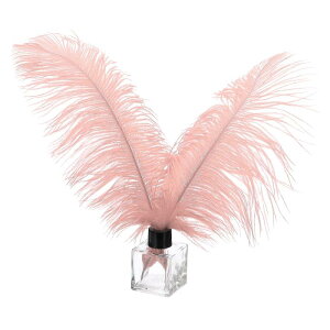 PATIKIL 30�̓V�R�_�`���E�̉H�� �o���N 10-12/ 25-30 cm �傫�ȃ_�`���E�̉H�� �N���t�g �z�[���f�R���[�V���� �E�F�f�B���O�p�[�e�B�[ �ԕr�f�R (���[�W���s���N)