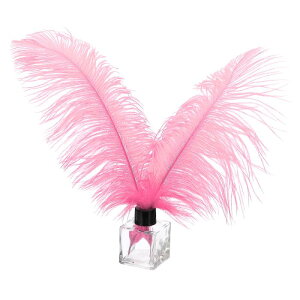 PATIKIL 30�̓V�R�_�`���E�̉H�� �o���N 10-12/ 25-30 cm �傫�ȃ_�`���E�̉H�� �N���t�g �z�[���f�R���[�V���� �E�F�f�B���O�p�[�e�B�[ �ԕr�f�R���[�V�����i�s���N�j