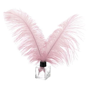 PATIKIL 30�̓V�R�_�`���E�̉H�� �o���N 10-12/ 25-30 cm �傫�ȃ_�`���E�̉H�� �N���t�g �z�[���f�R���[�V���� �E�F�f�B���O�p�[�e�B�[ �ԕr�f�R (�_�[�N�s���N)