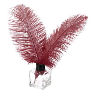 PATIKIL 30�̓V�R�_�`���E�̉H�� �o���N 8-10/20-25 cm �傫�ȃ_�`���E�̉H�� �N���t�g �z�[���f�R���[�V���� ������ �p�[�e�B�[ �ԕr�f�R���[�V�����i�o�[�K ���f�B�[�j