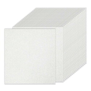 PATIKIL 20V[g Vo[Ob^[J[hXgbNy[p[ 12 x 12C` 250gsm XNGAv~AXp[N[y[p[NtgJ[hXgbNy[p[ XNbvubN J[h DIYA