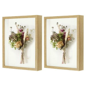 M METERXITY 2pbN VhE{bNXt[ 8 x 10" ؐhCt[tHgt[ [{bNXt[ VhE{bNXfBXvCP[X /`Pbg/DIYNtgp fBXvC