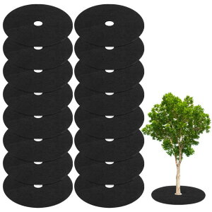 M METERXITY 16 sDz  Jo[O 16.5"  یҎGt@ubNJo[ K[f  }`O/ hXP[vt@ubNɓKpiEhj